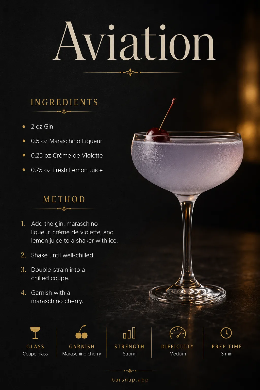 Aviation recipe infographic