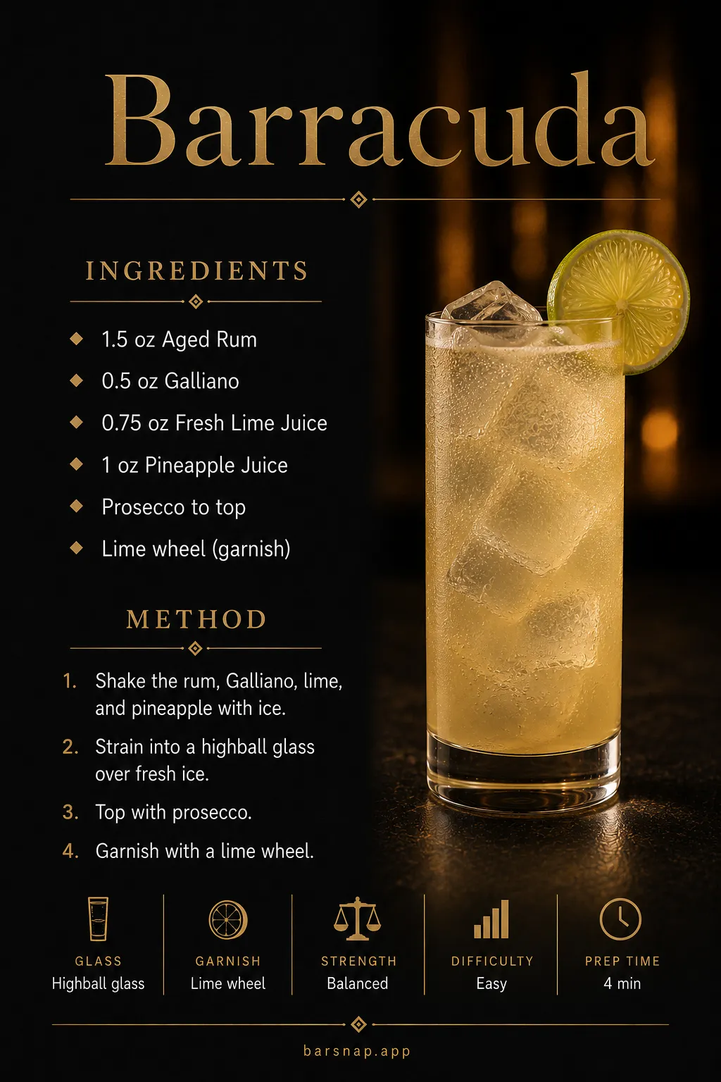 Barracuda recipe infographic