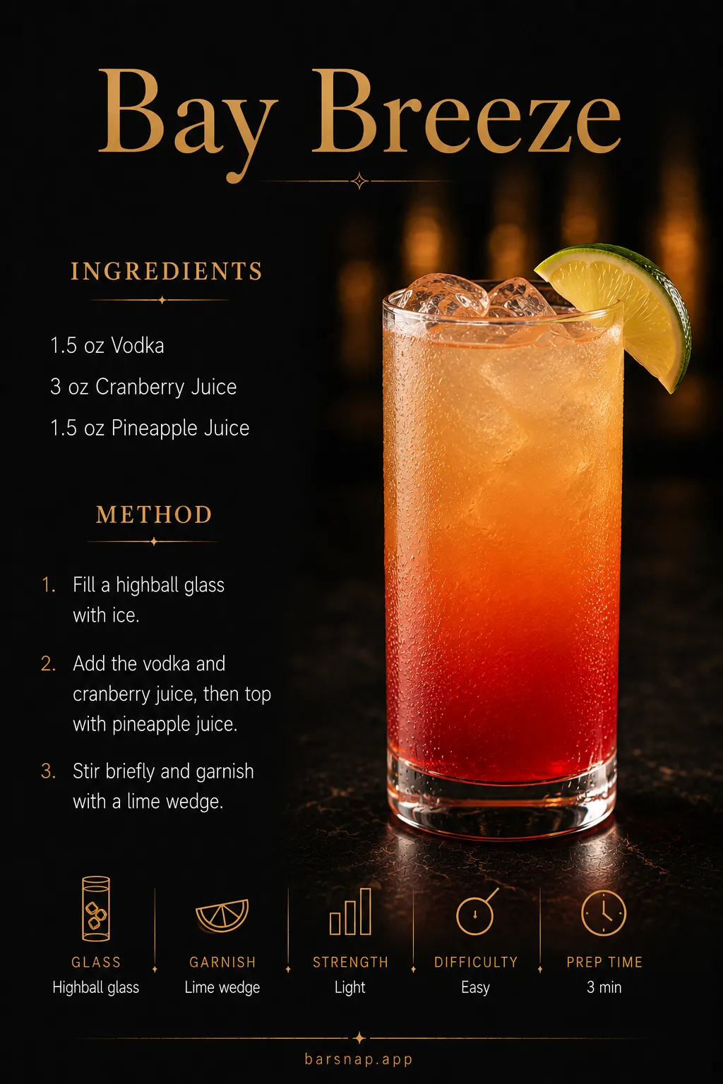 Bay Breeze recipe infographic