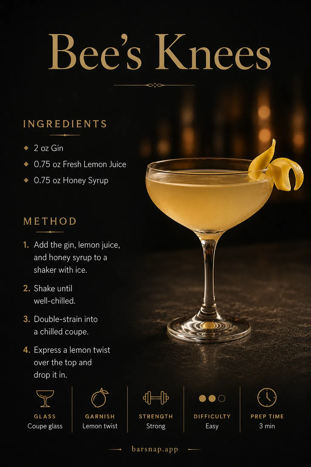 Bee's Knees recipe infographic