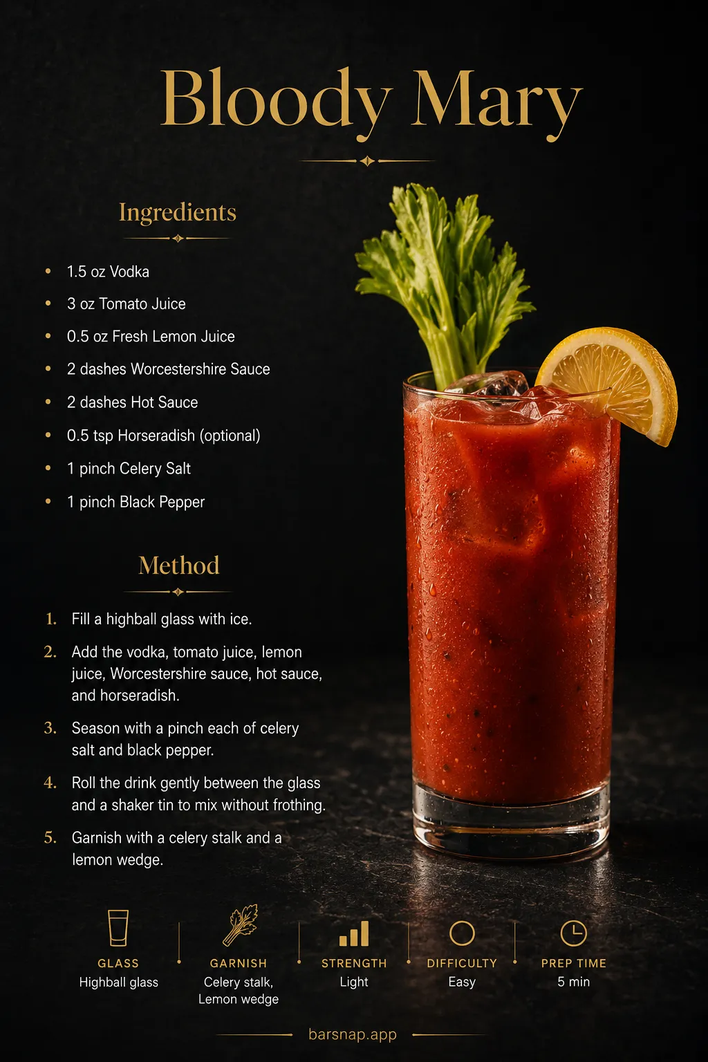Bloody Mary recipe infographic