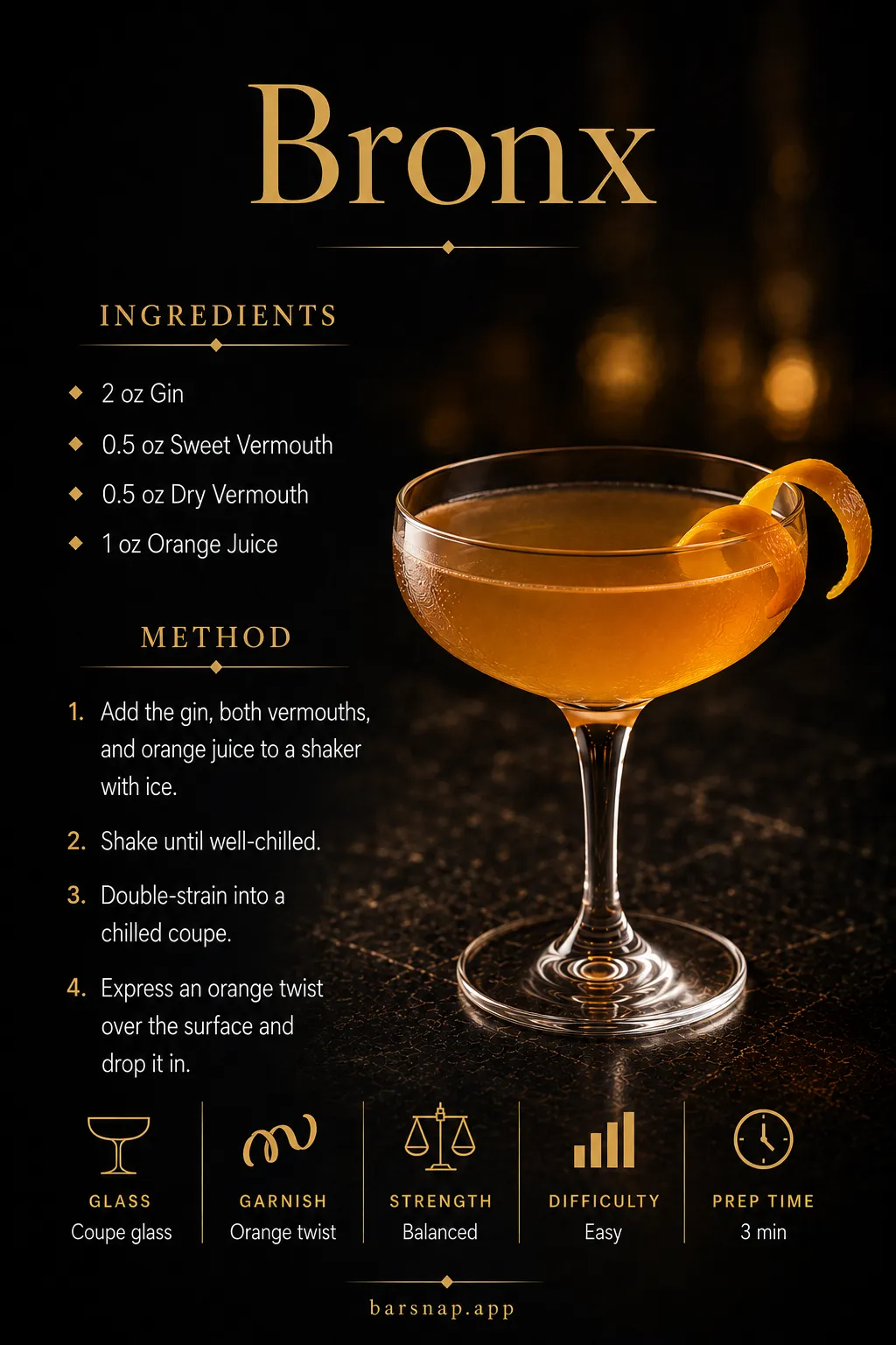 Bronx recipe infographic