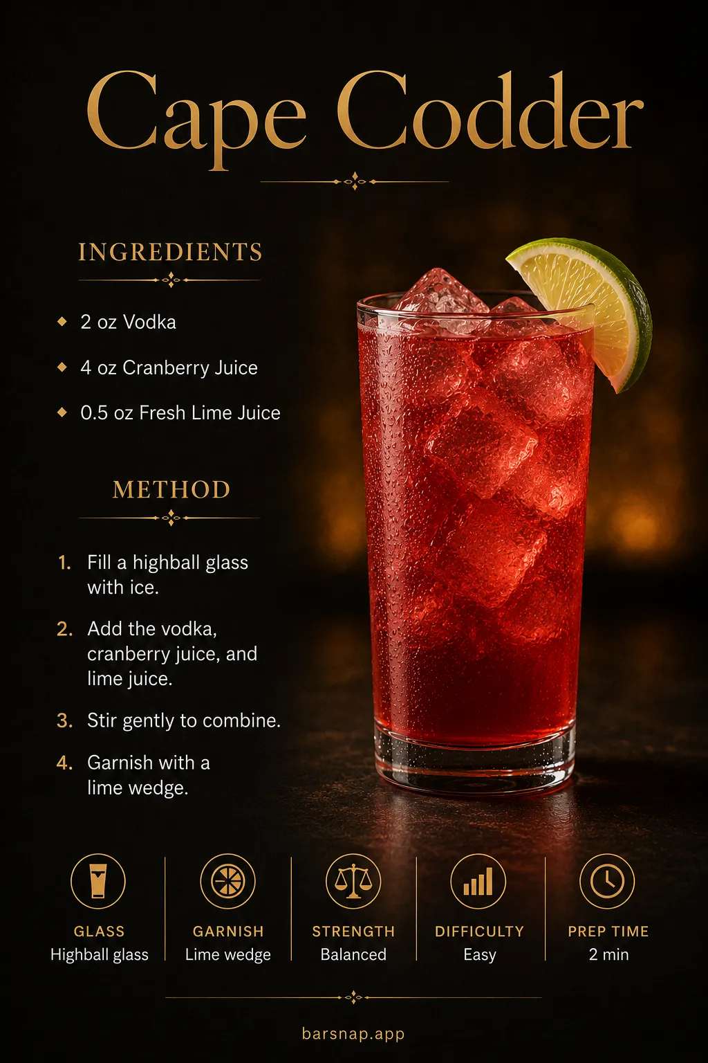 Cape Codder recipe infographic