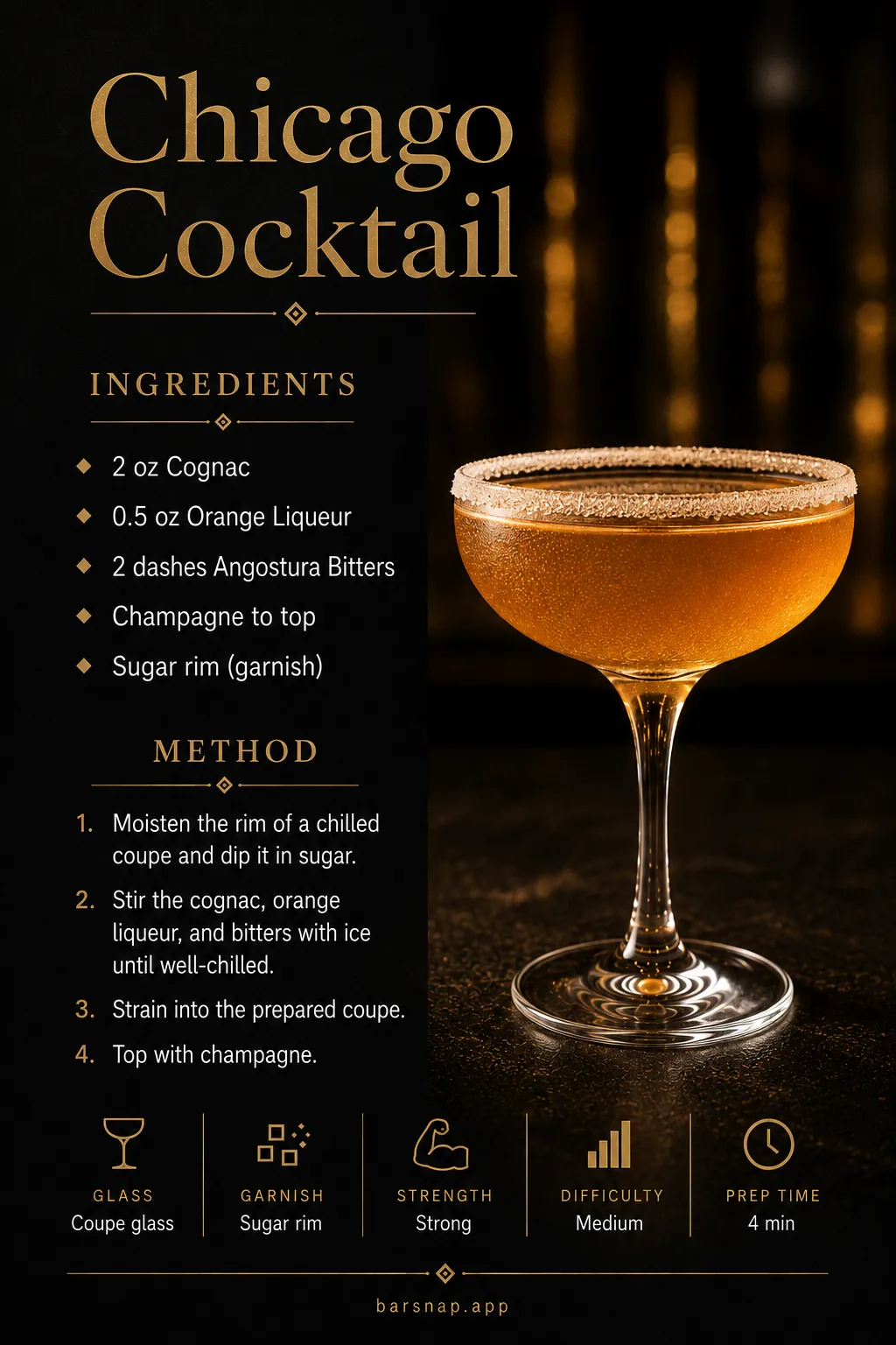 Chicago Cocktail recipe infographic