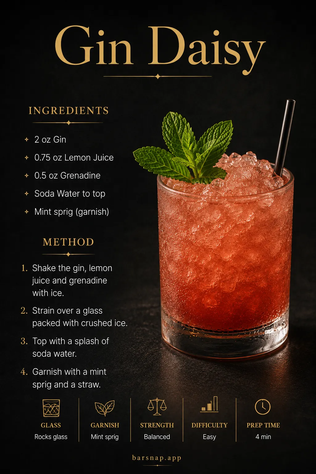 Gin Daisy recipe infographic