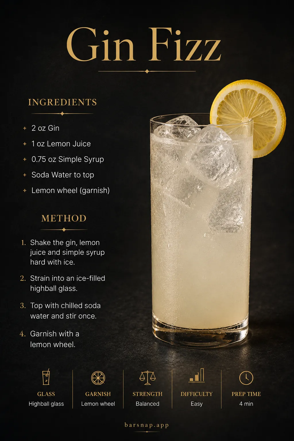 Gin Fizz recipe infographic