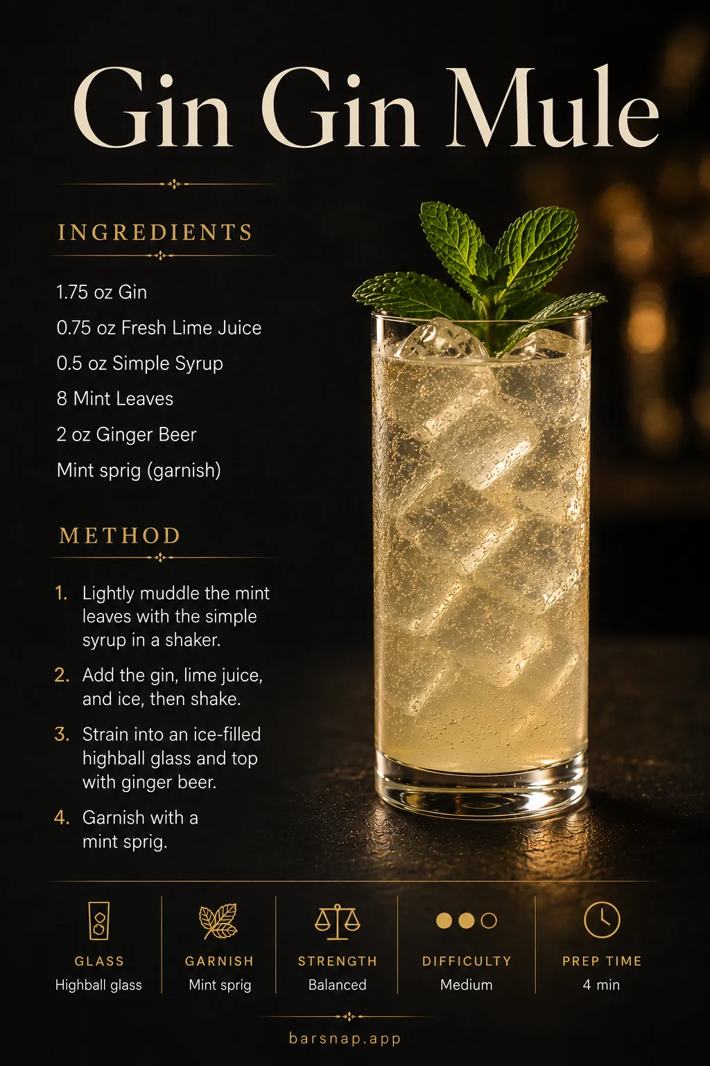 Gin Gin Mule recipe infographic