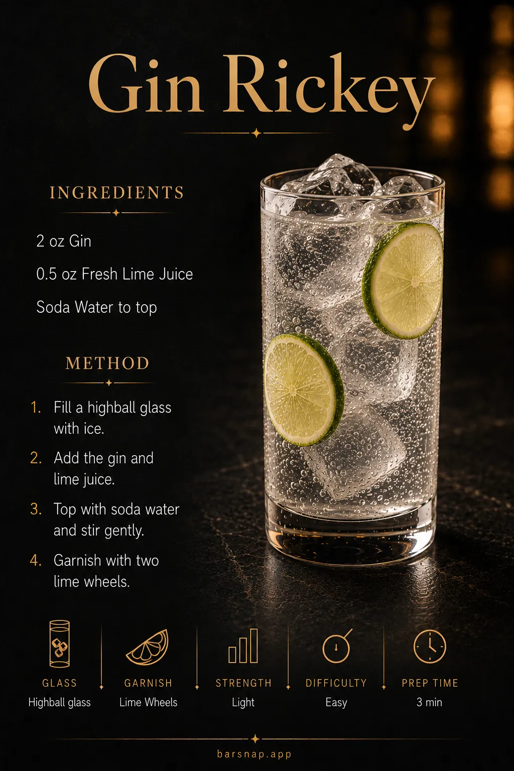 Gin Rickey recipe infographic