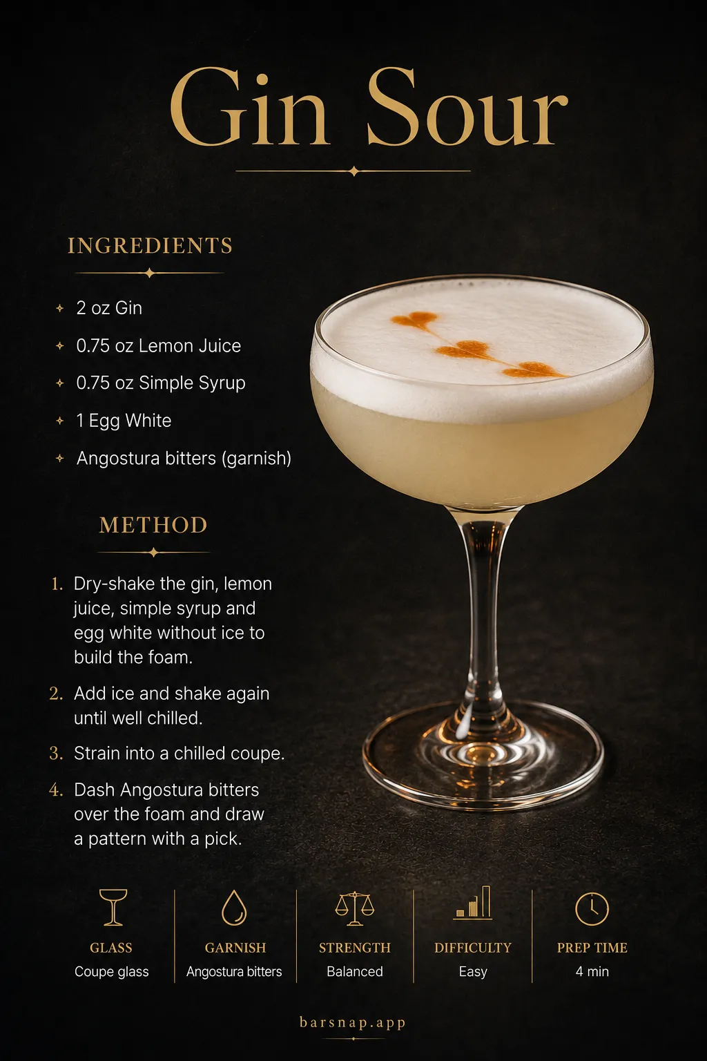 Gin Sour recipe infographic