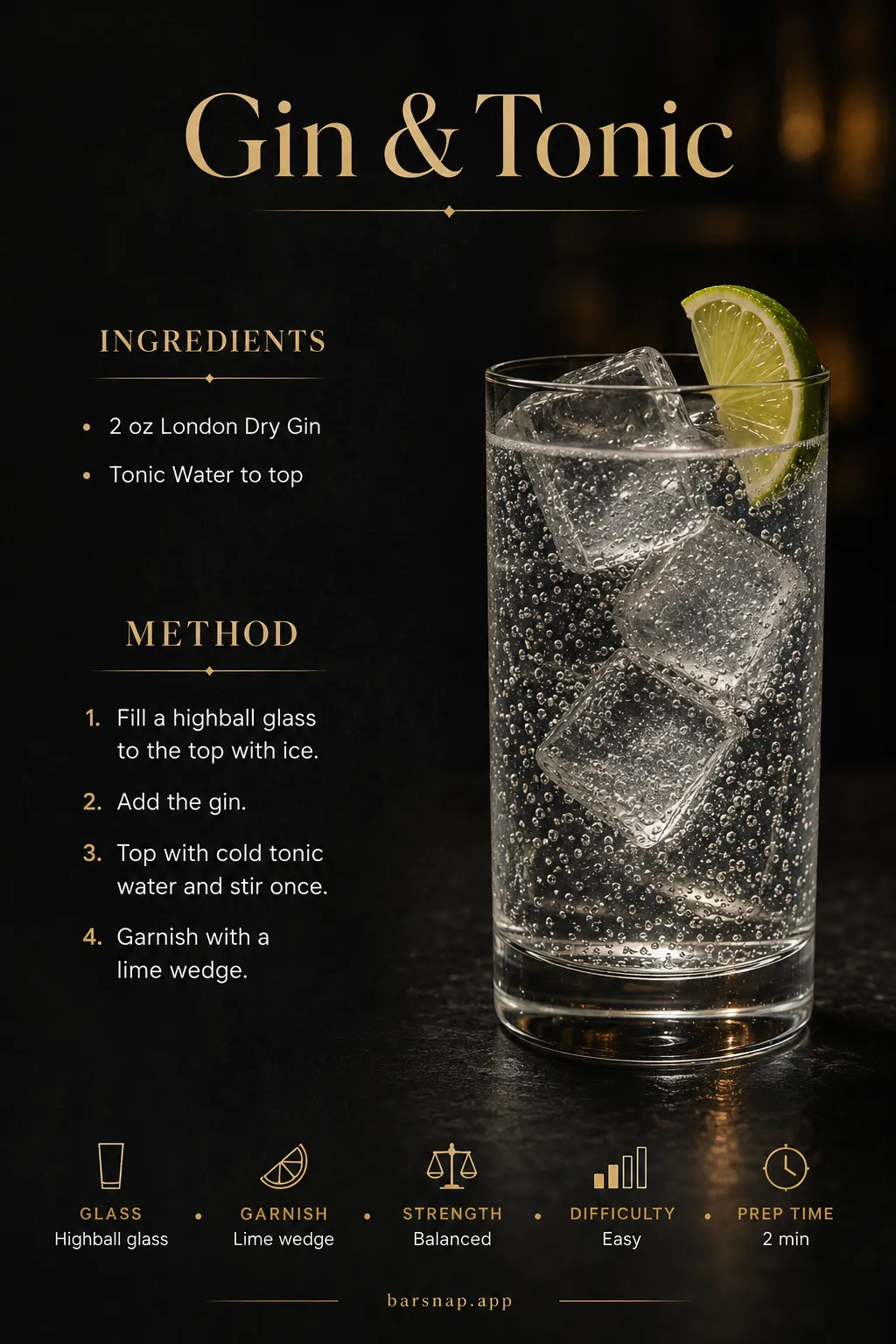 Gin & Tonic recipe infographic