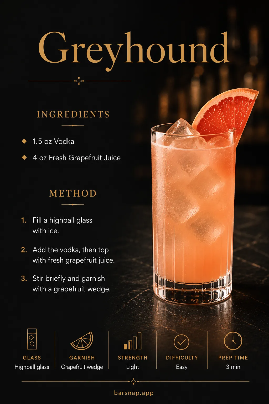 Greyhound recipe infographic