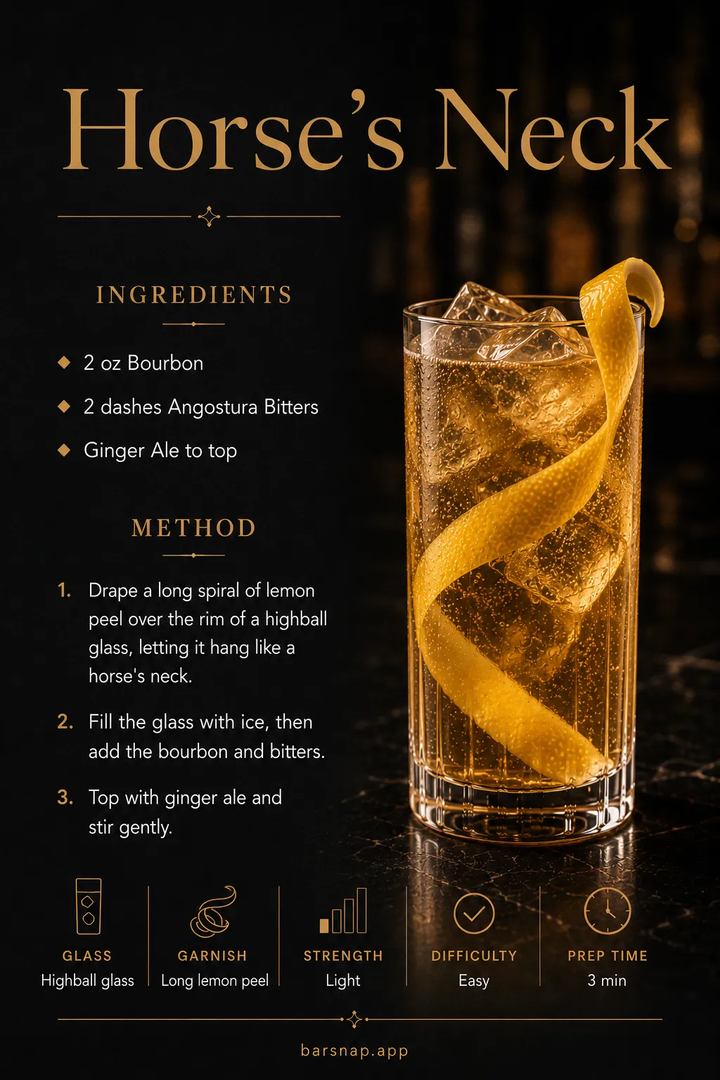 Horse's Neck recipe infographic