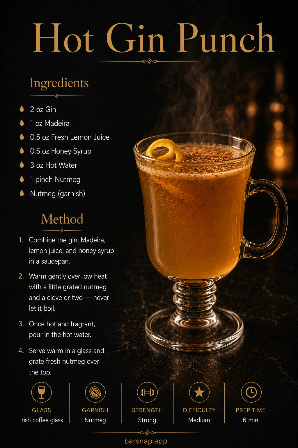 Hot Gin Punch recipe infographic