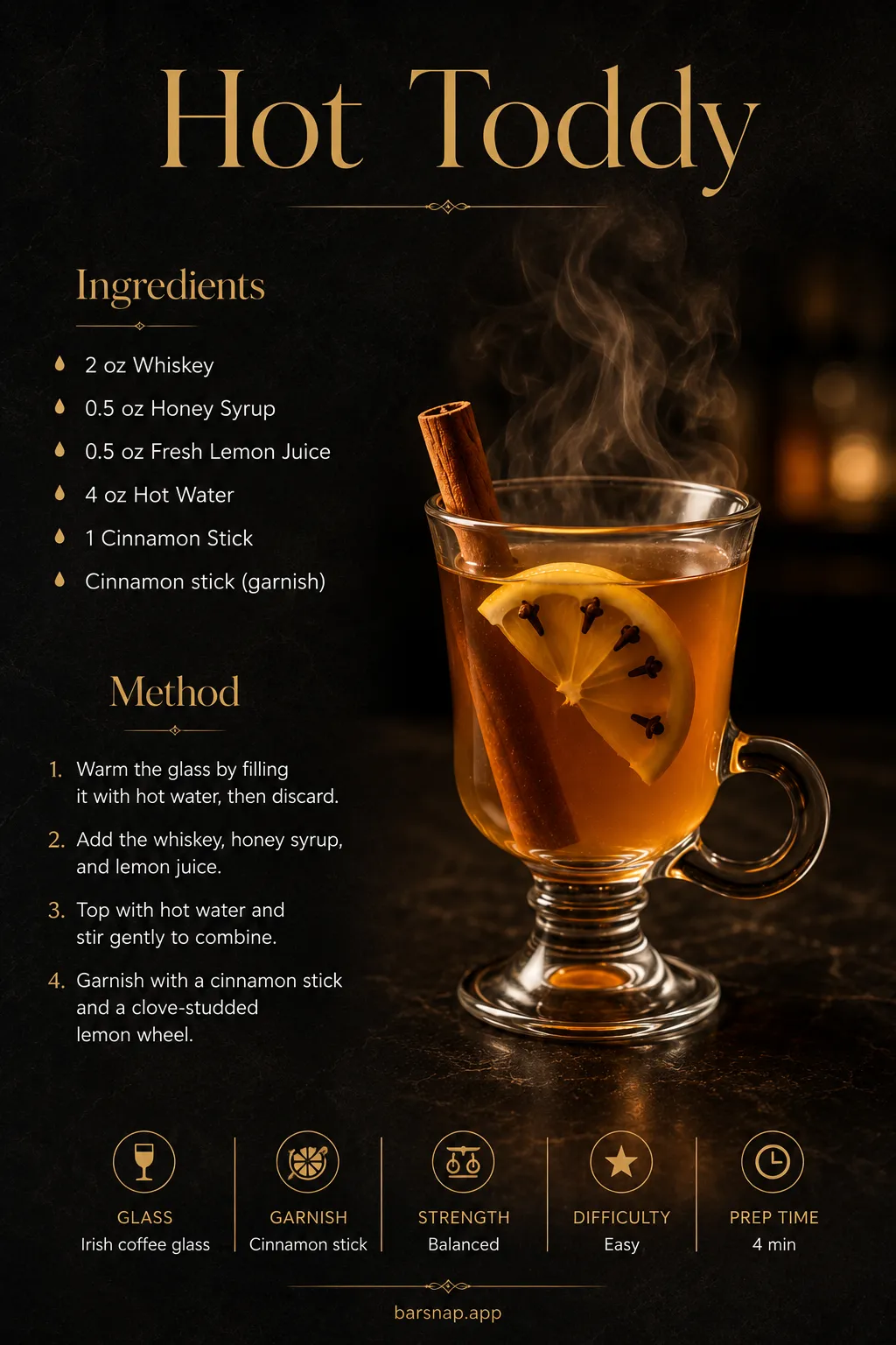Hot Toddy recipe infographic