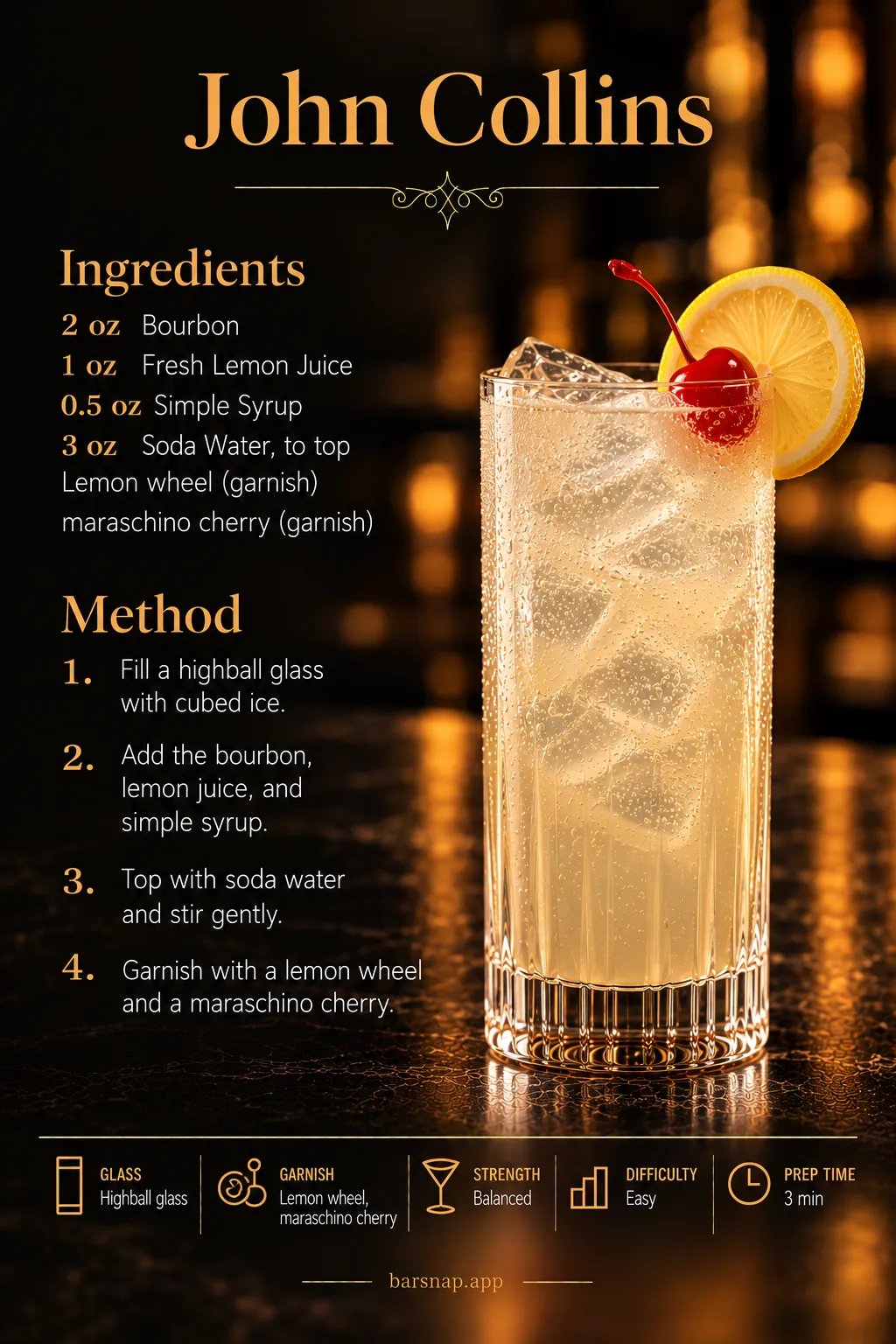 John Collins recipe infographic
