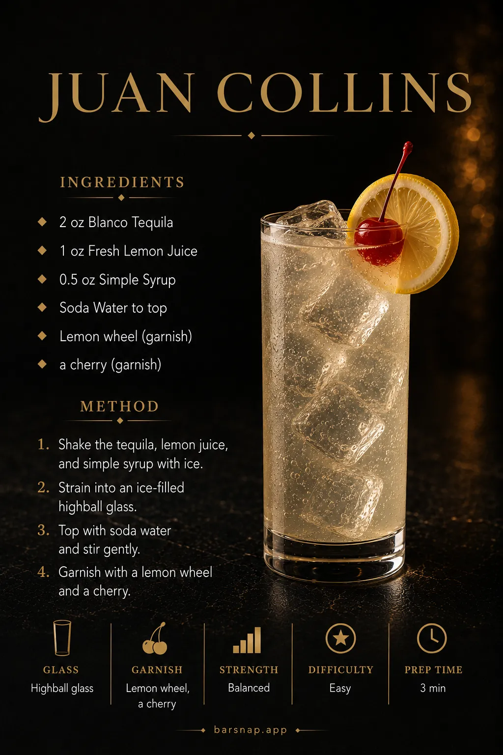 Juan Collins recipe infographic