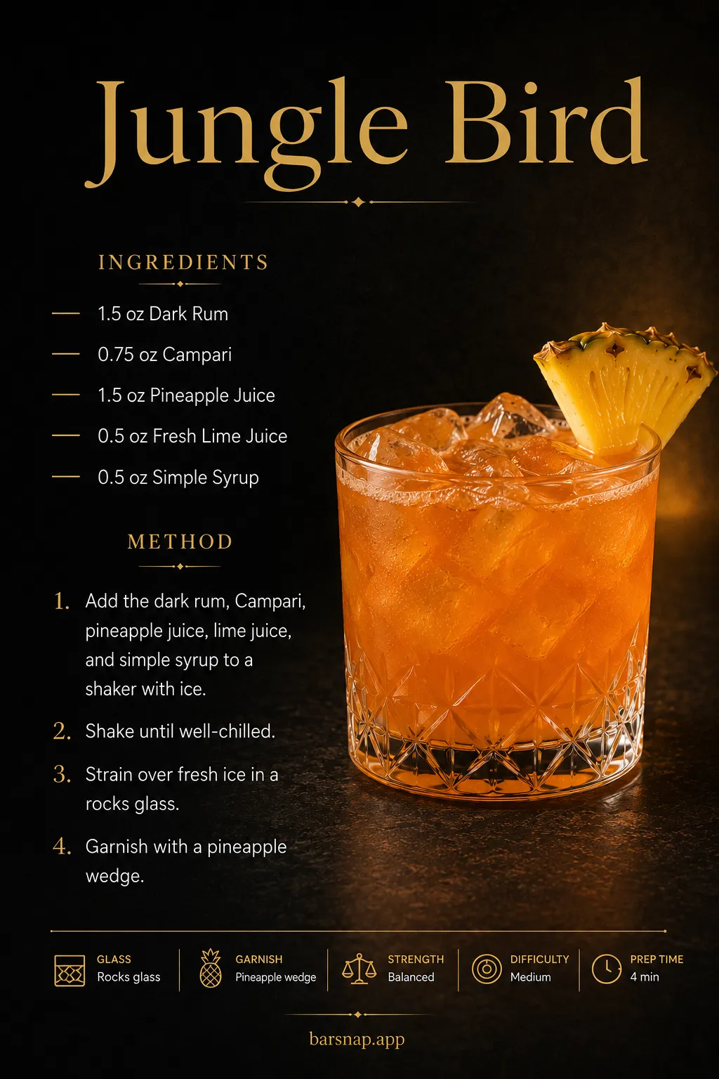 Jungle Bird recipe infographic