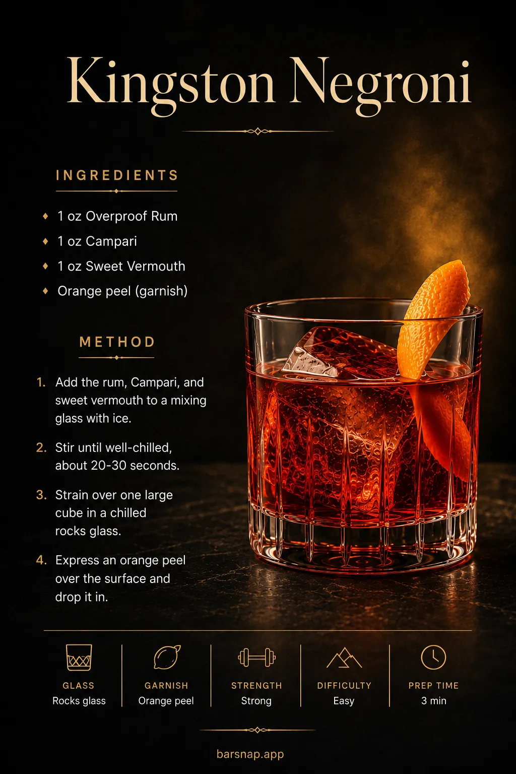 Kingston Negroni recipe infographic