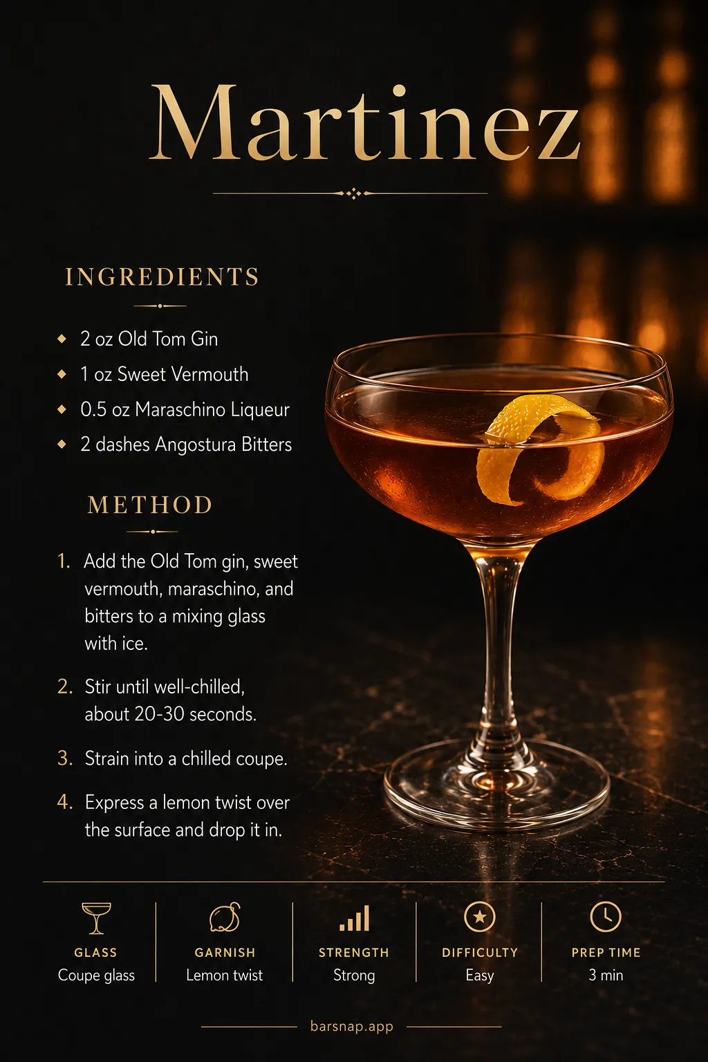 Martinez recipe infographic