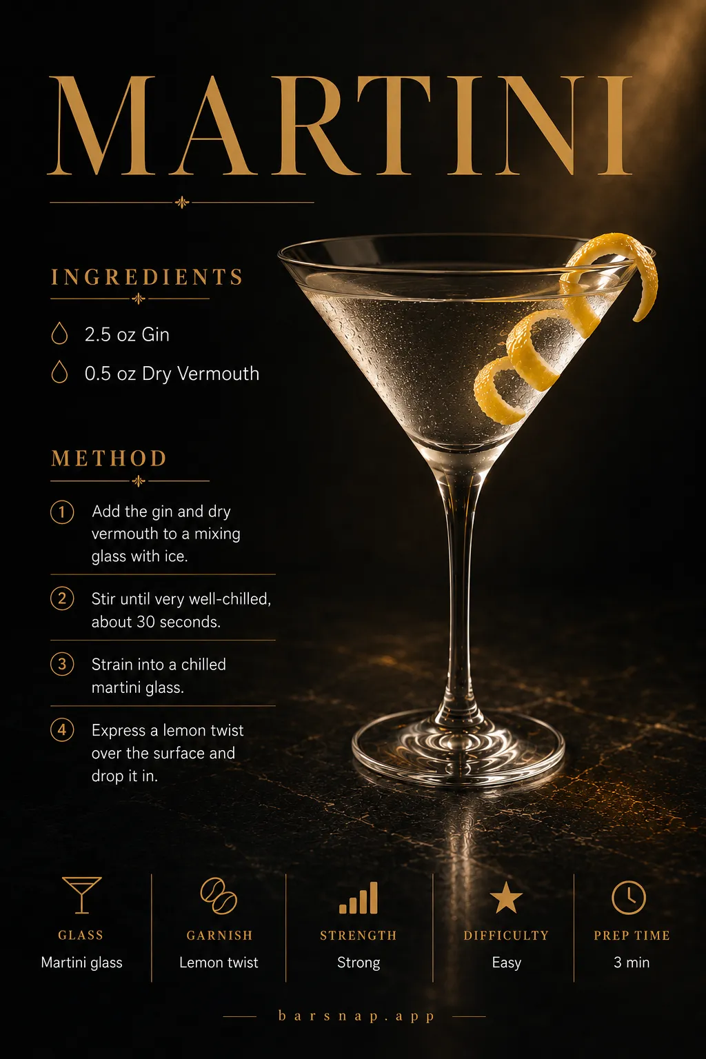 Martini recipe infographic