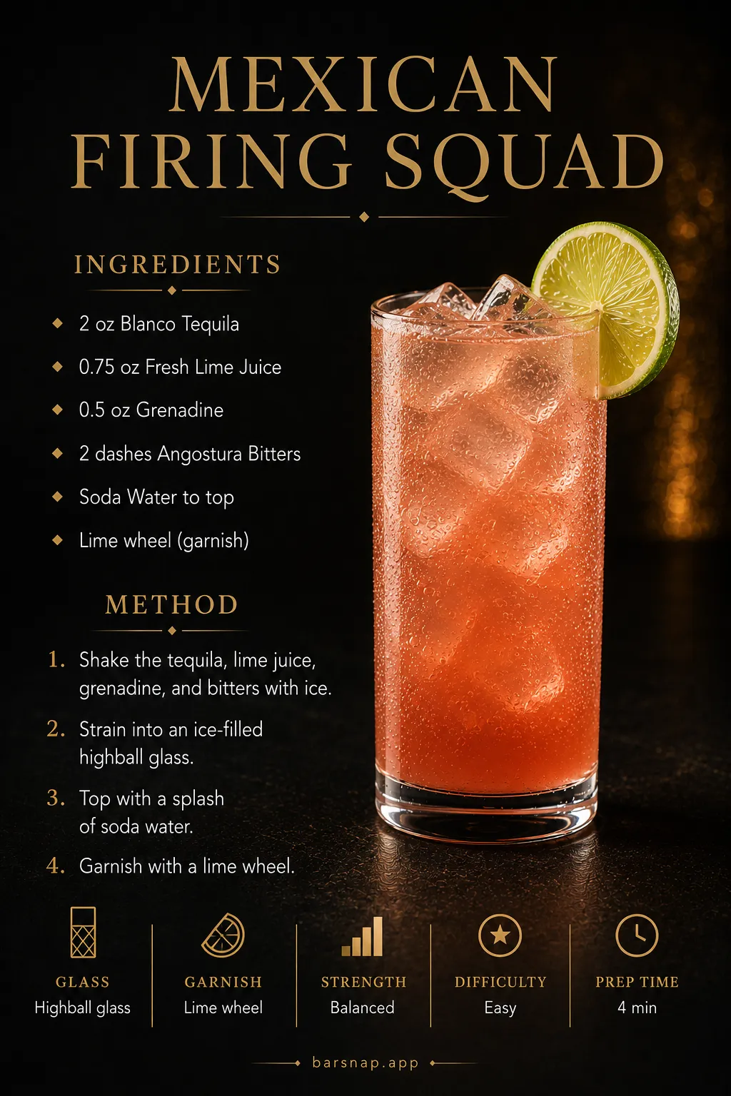 Mexican Firing Squad recipe infographic