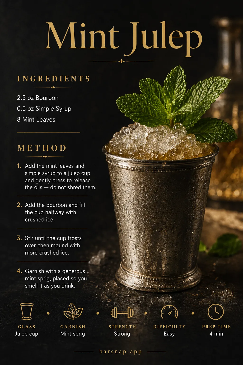 Mint Julep recipe infographic
