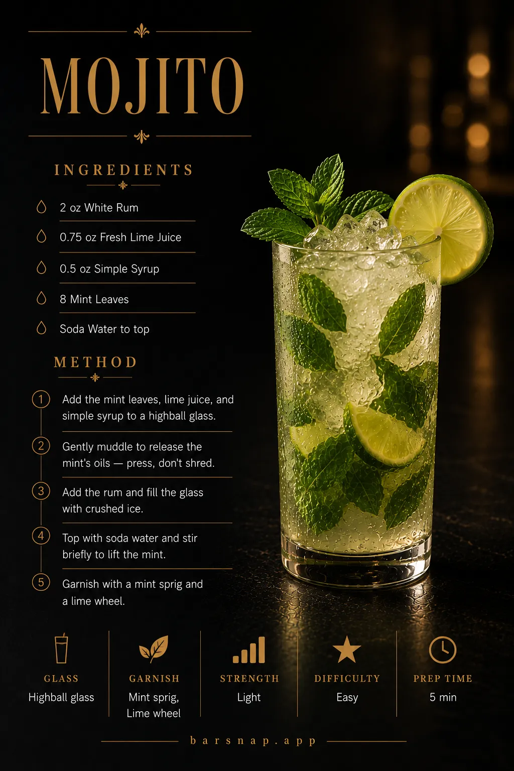Mojito recipe infographic