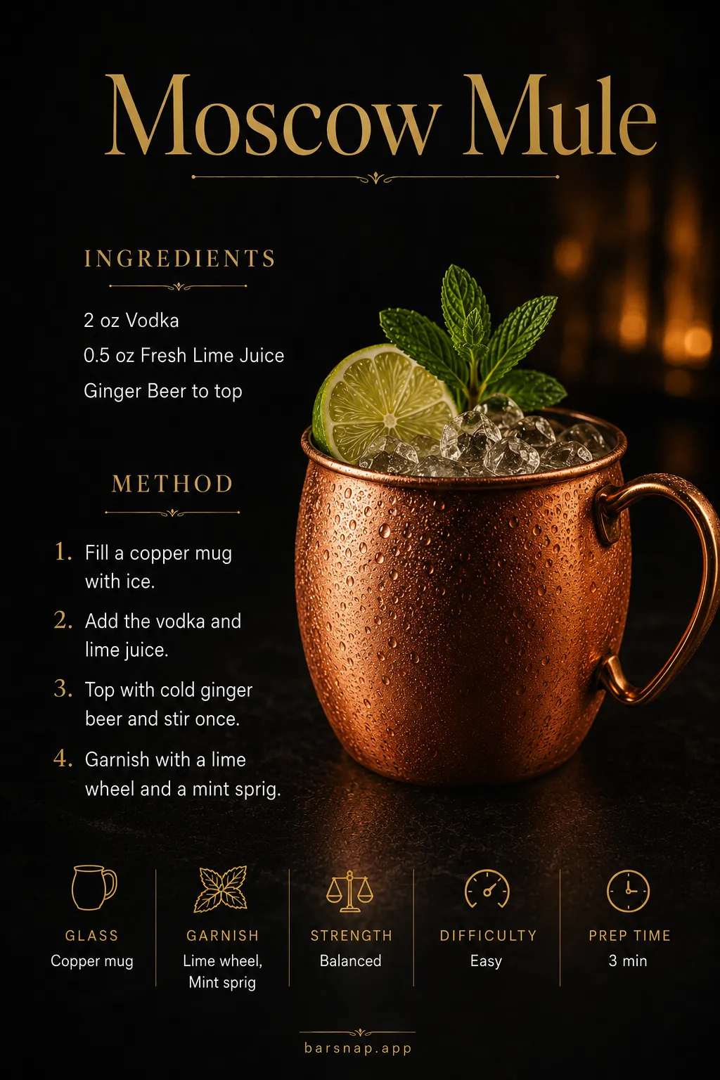 Moscow Mule recipe infographic