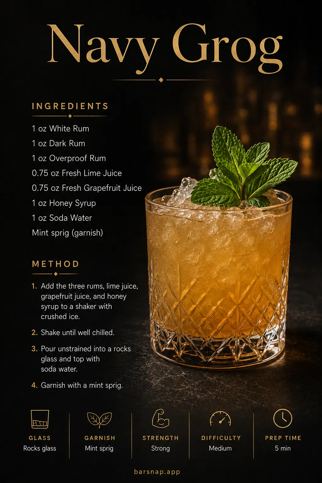 Navy Grog recipe infographic