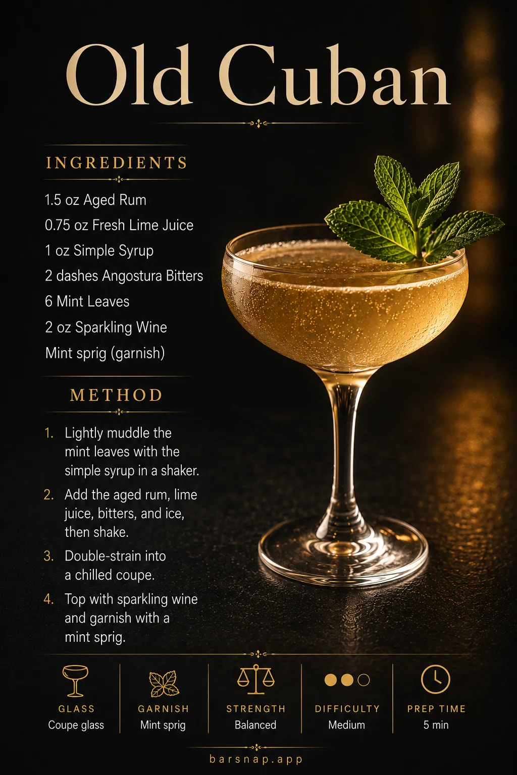 Old Cuban recipe infographic