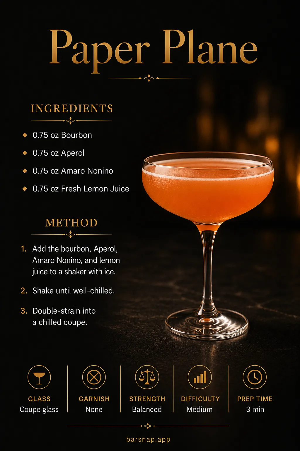 Paper Plane recipe infographic