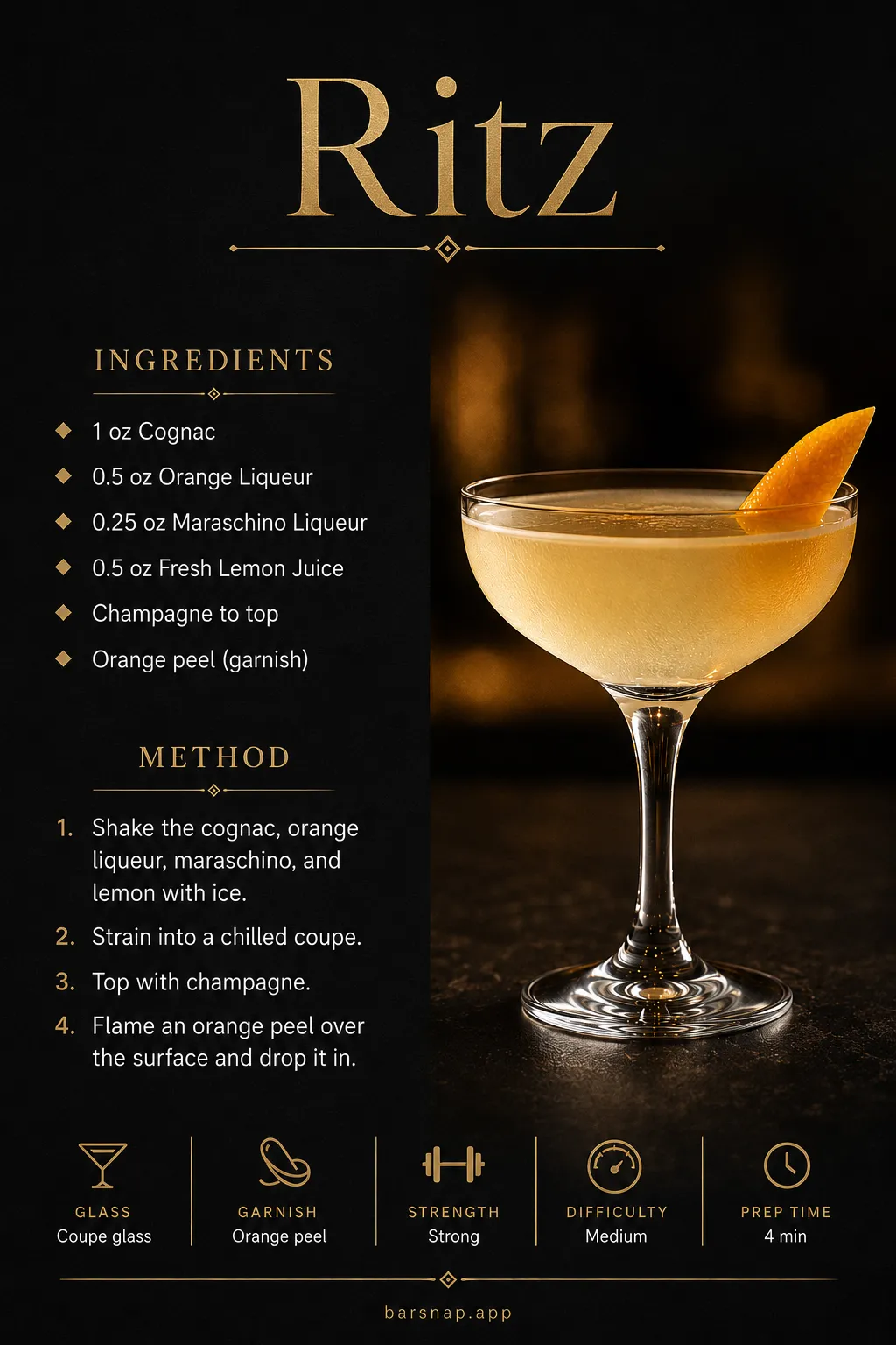 Ritz recipe infographic