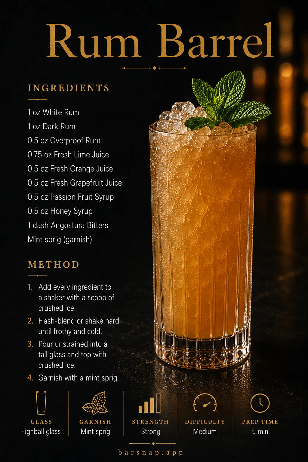 Rum Barrel recipe infographic