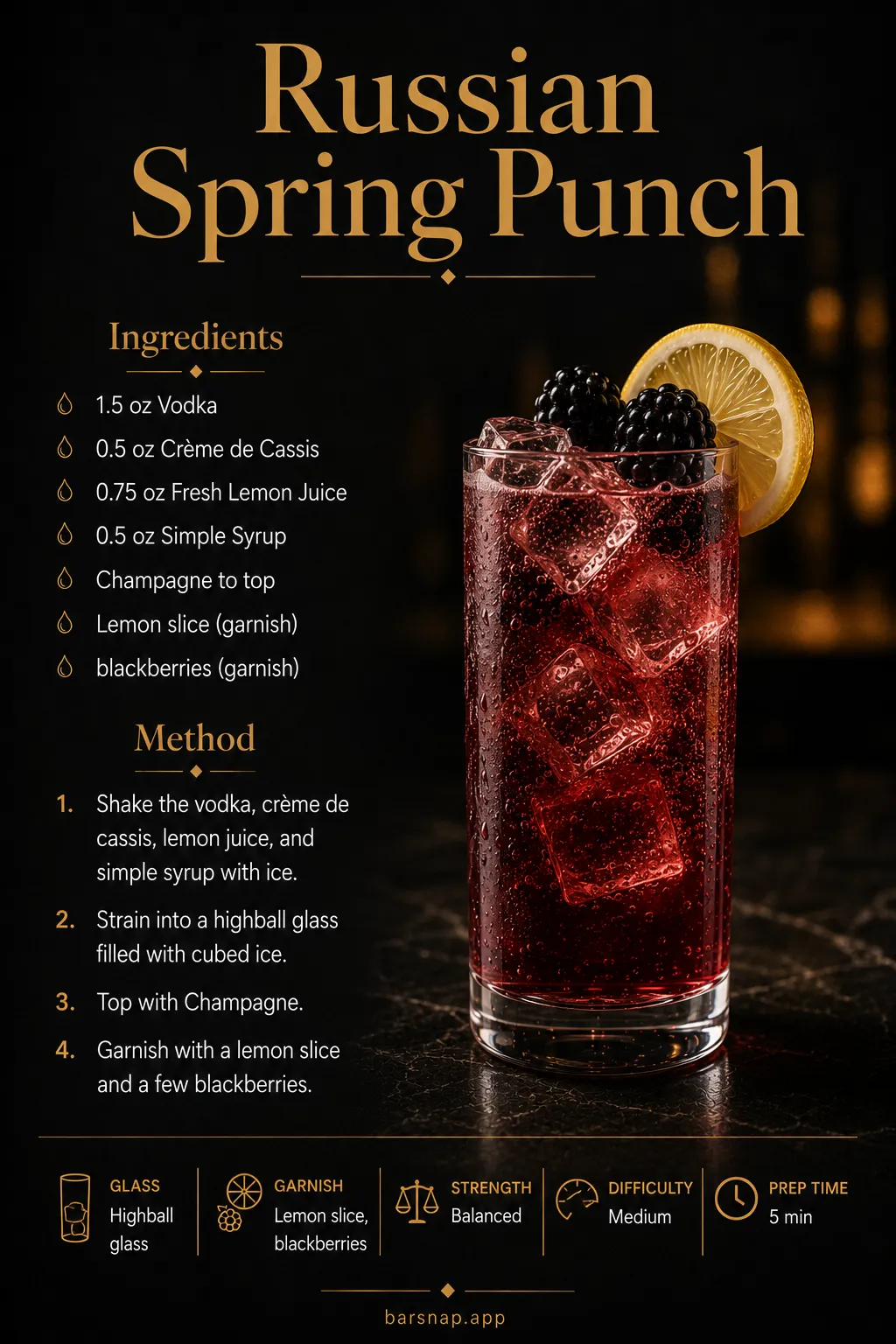 Russian Spring Punch recipe infographic
