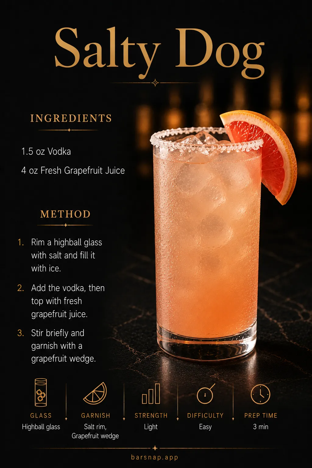 Salty Dog recipe infographic