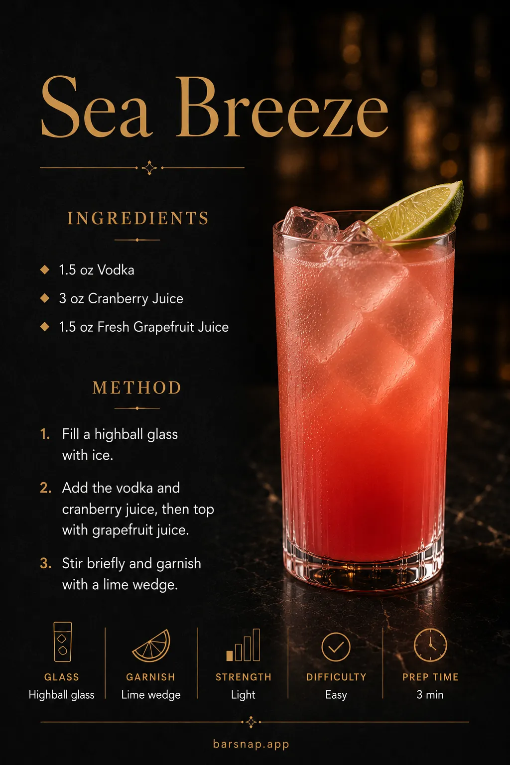 Sea Breeze recipe infographic