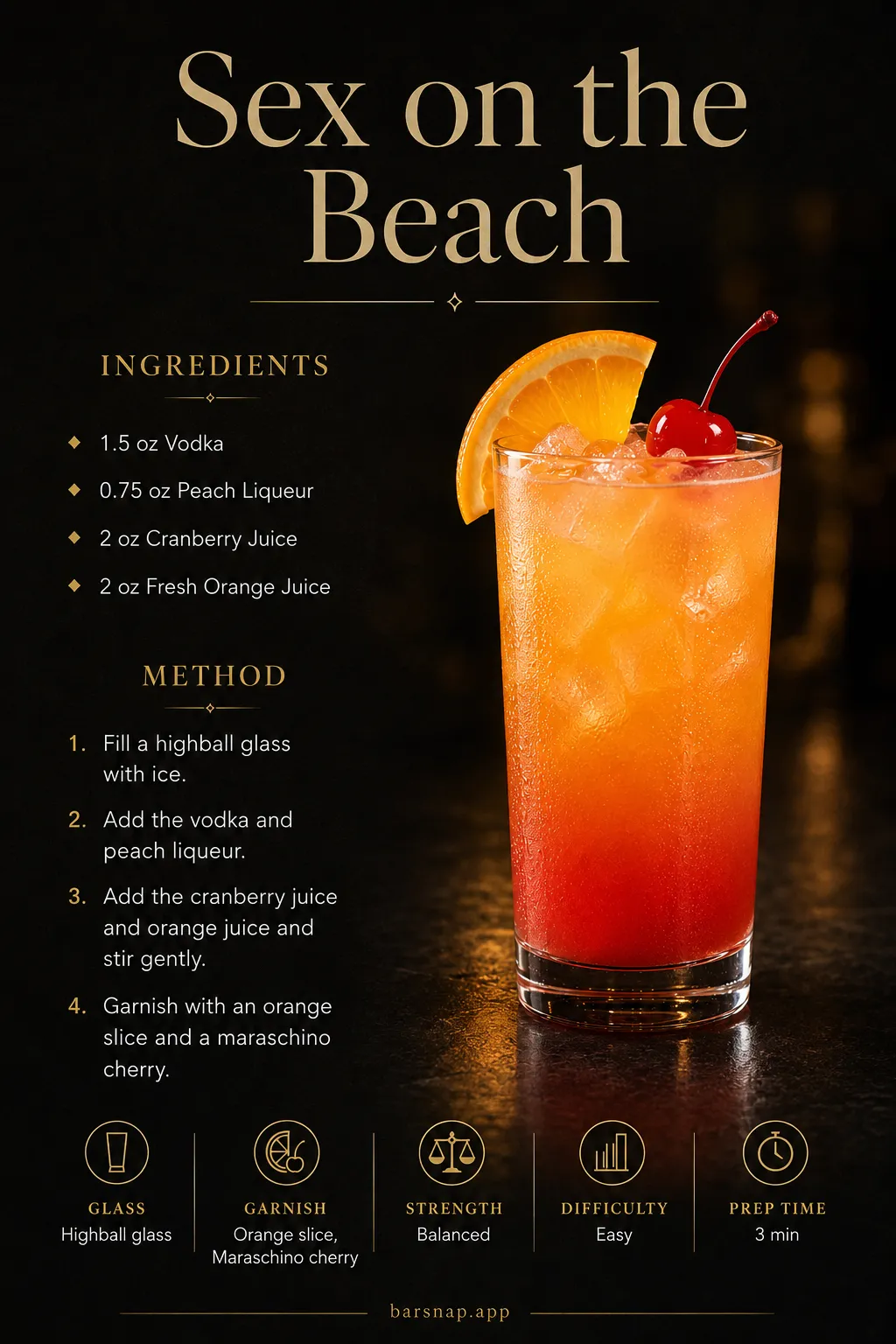 Sex on the Beach recipe infographic