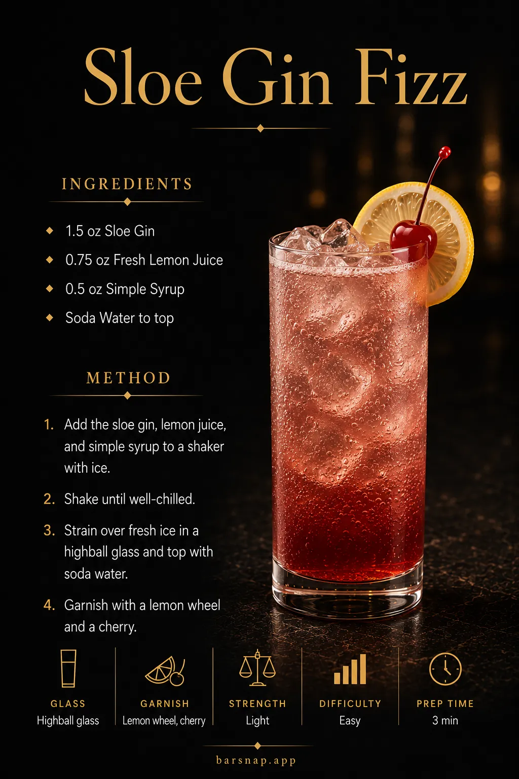 Sloe Gin Fizz recipe infographic