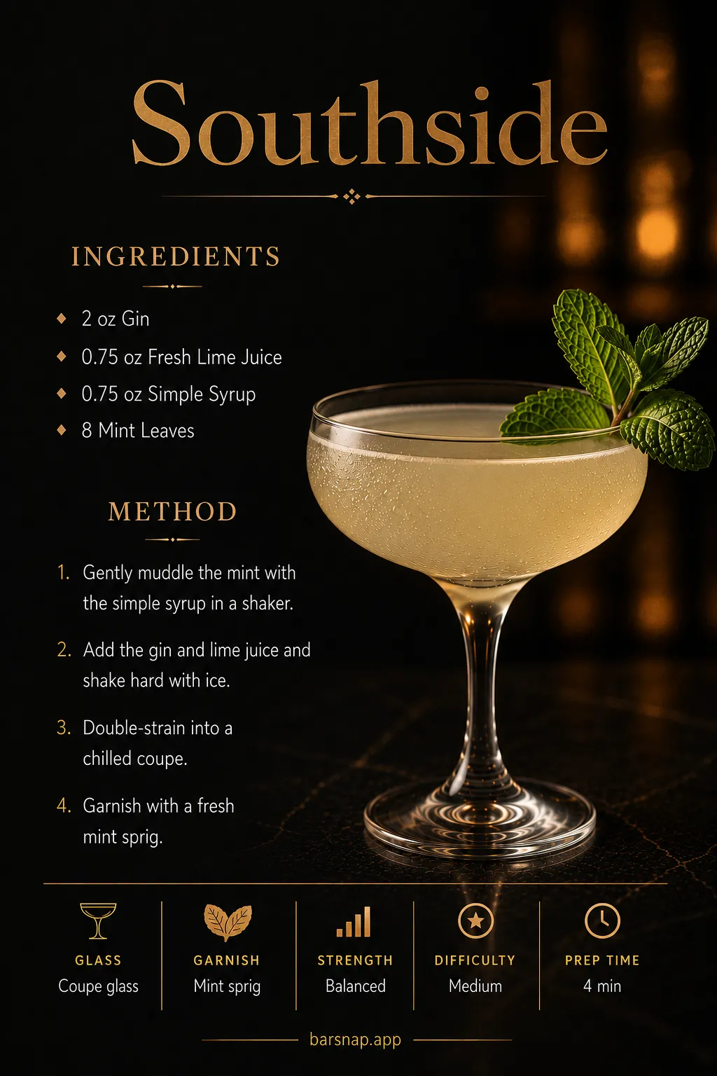 Southside recipe infographic