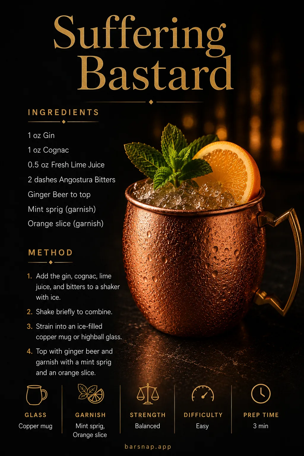 Suffering Bastard recipe infographic