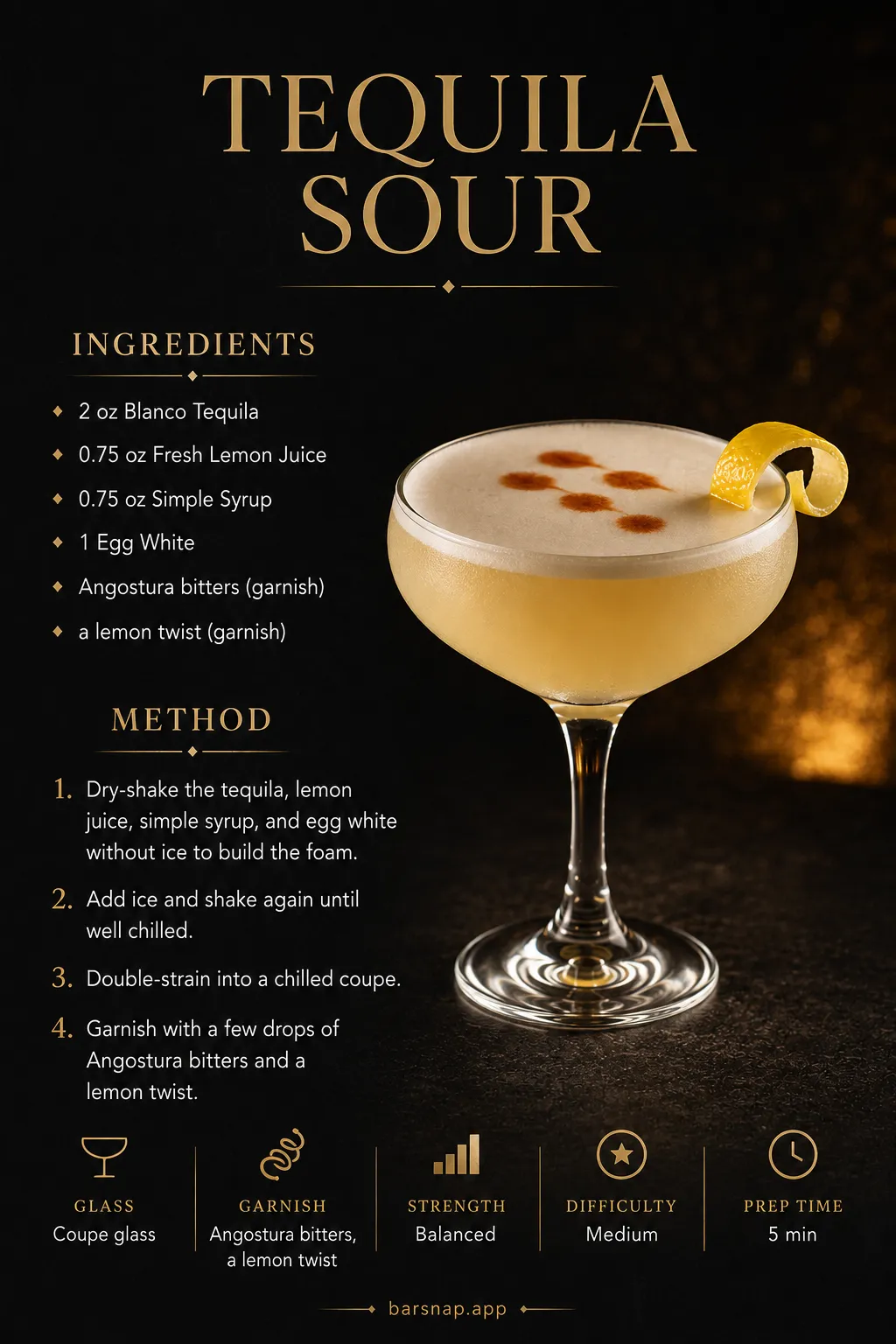 Tequila Sour recipe infographic