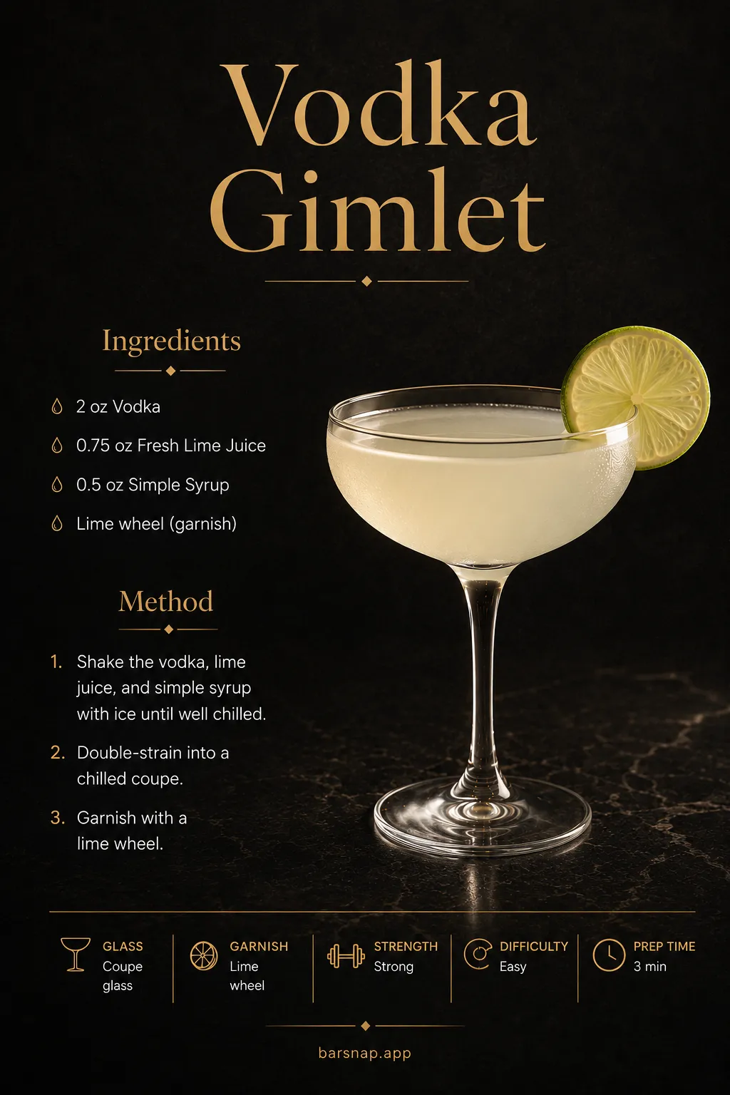 Vodka Gimlet recipe infographic