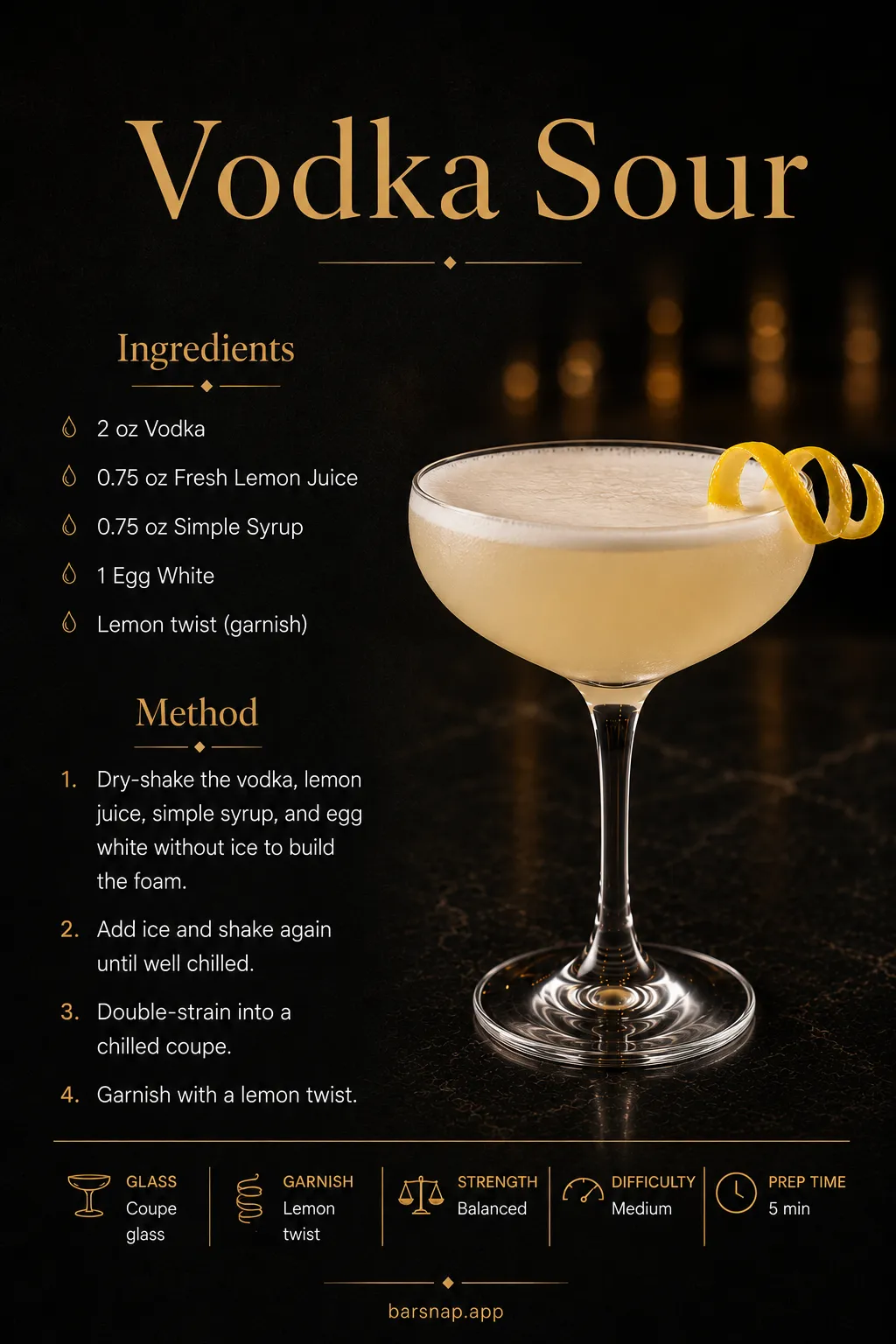 Vodka Sour recipe infographic