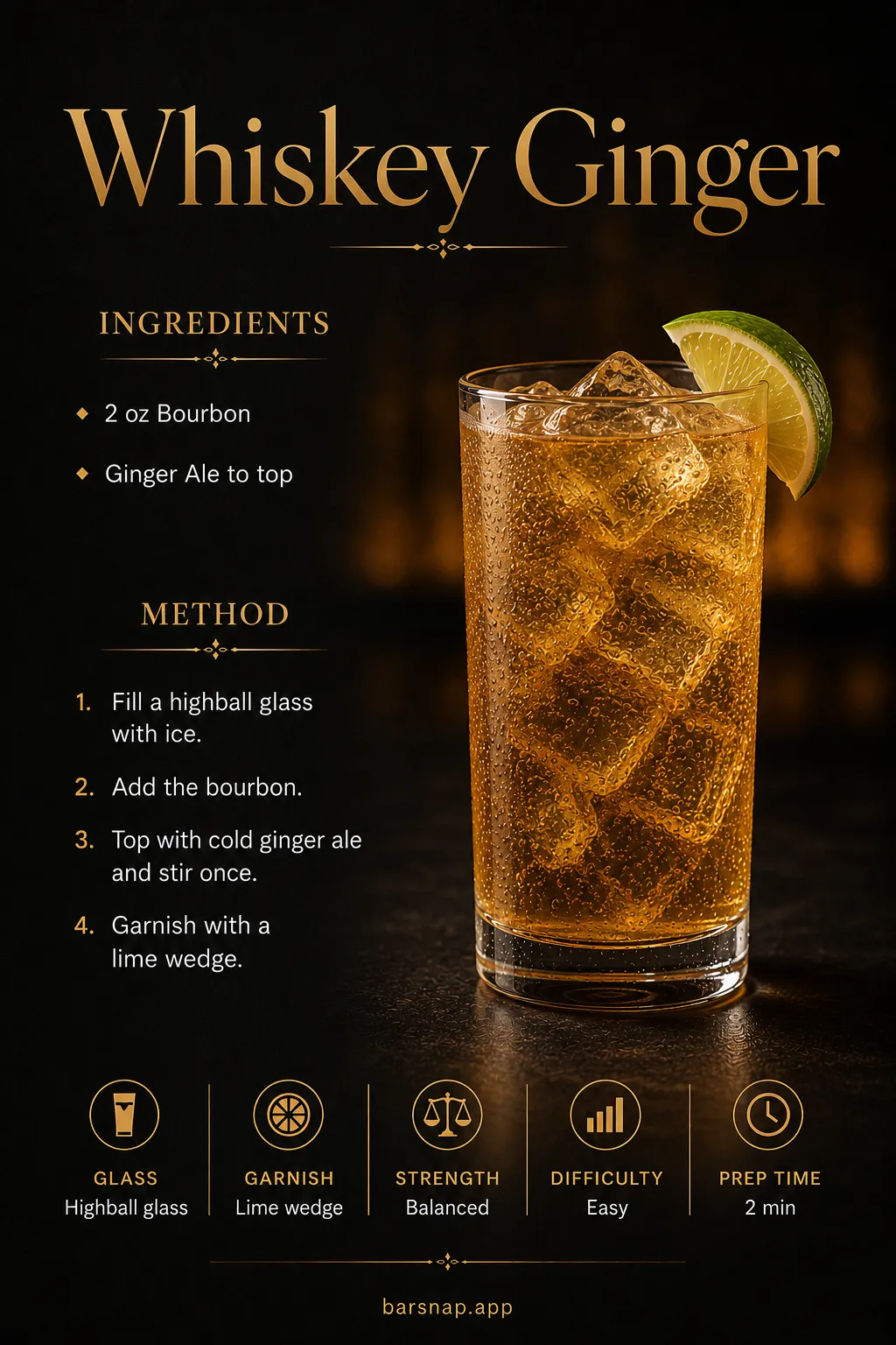 Whiskey Ginger recipe infographic