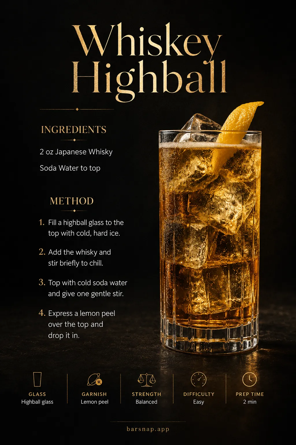 Whiskey Highball recipe infographic